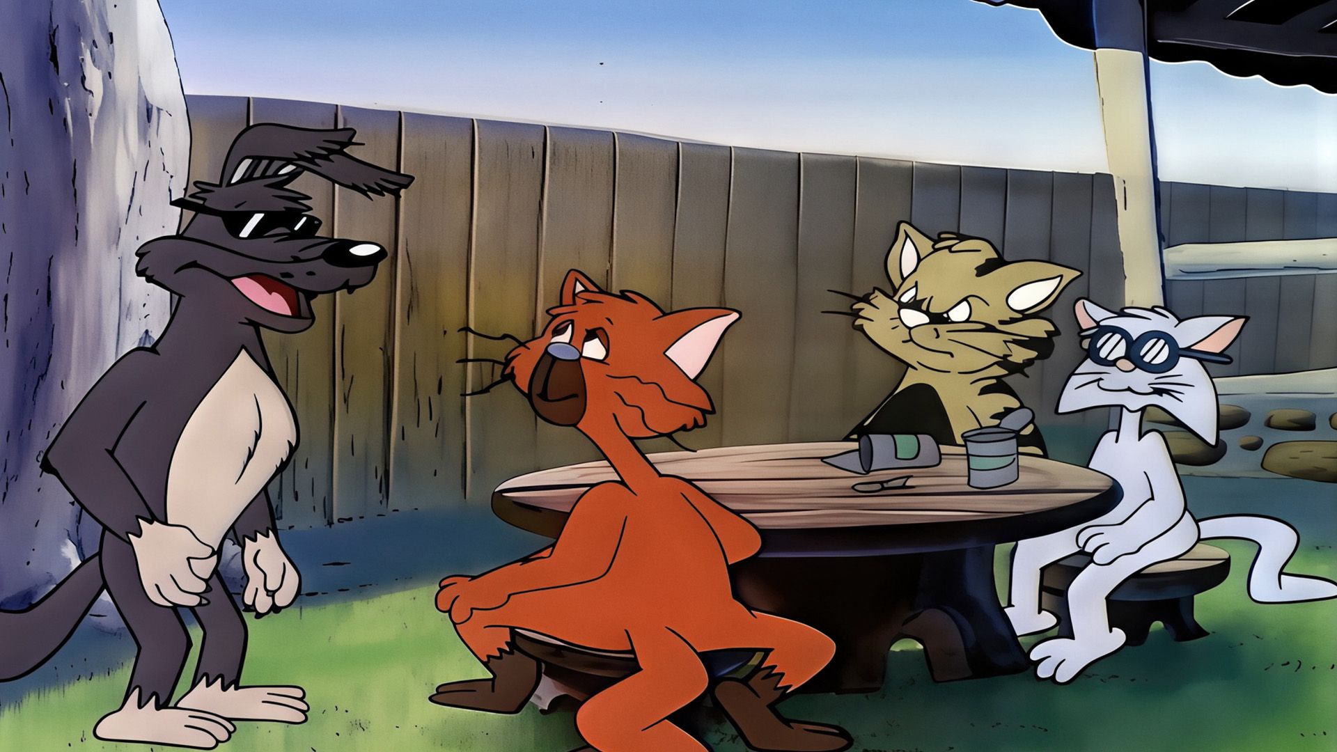 Alles für die Katz'