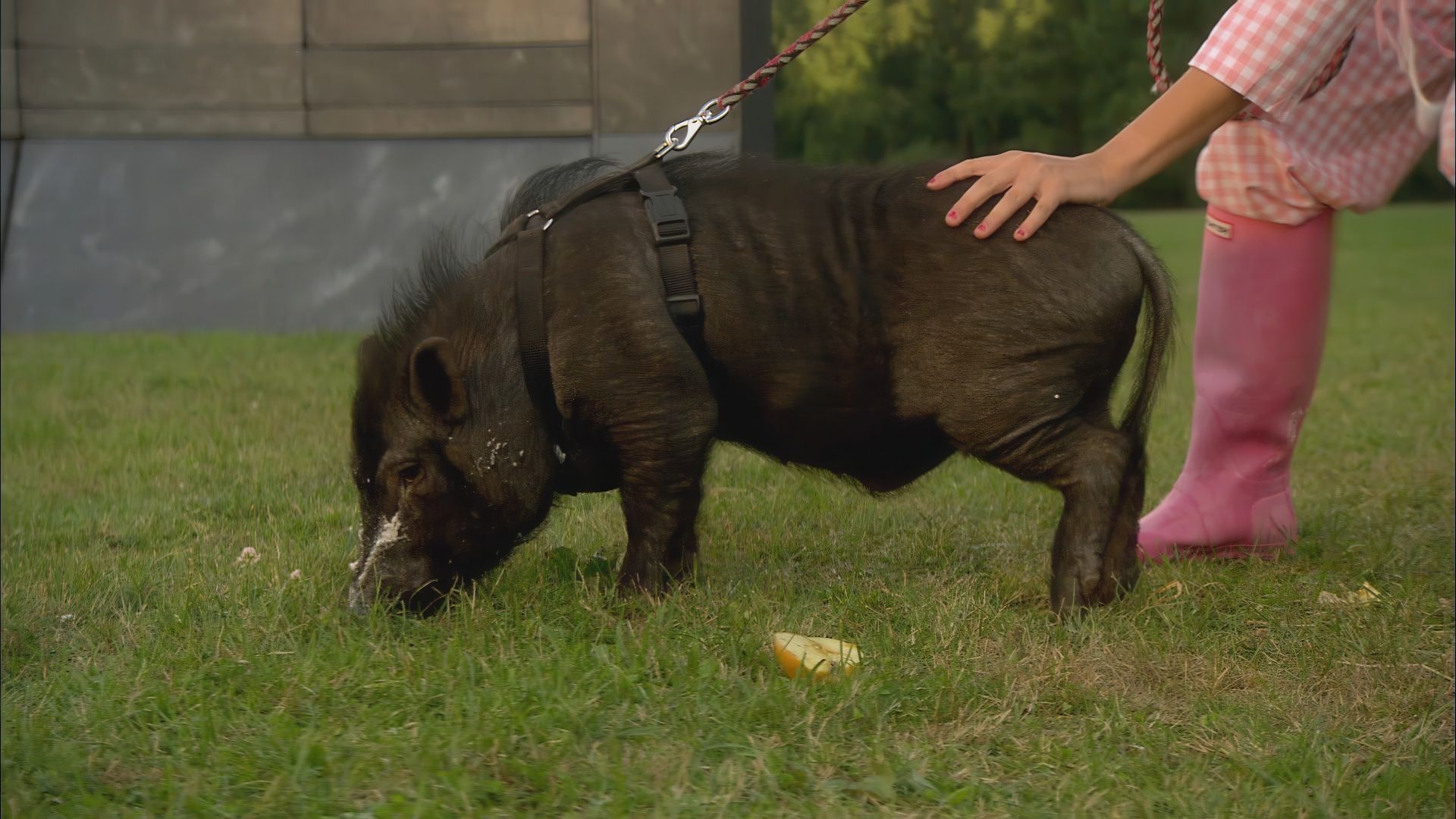 Letzte Vorbereitungen