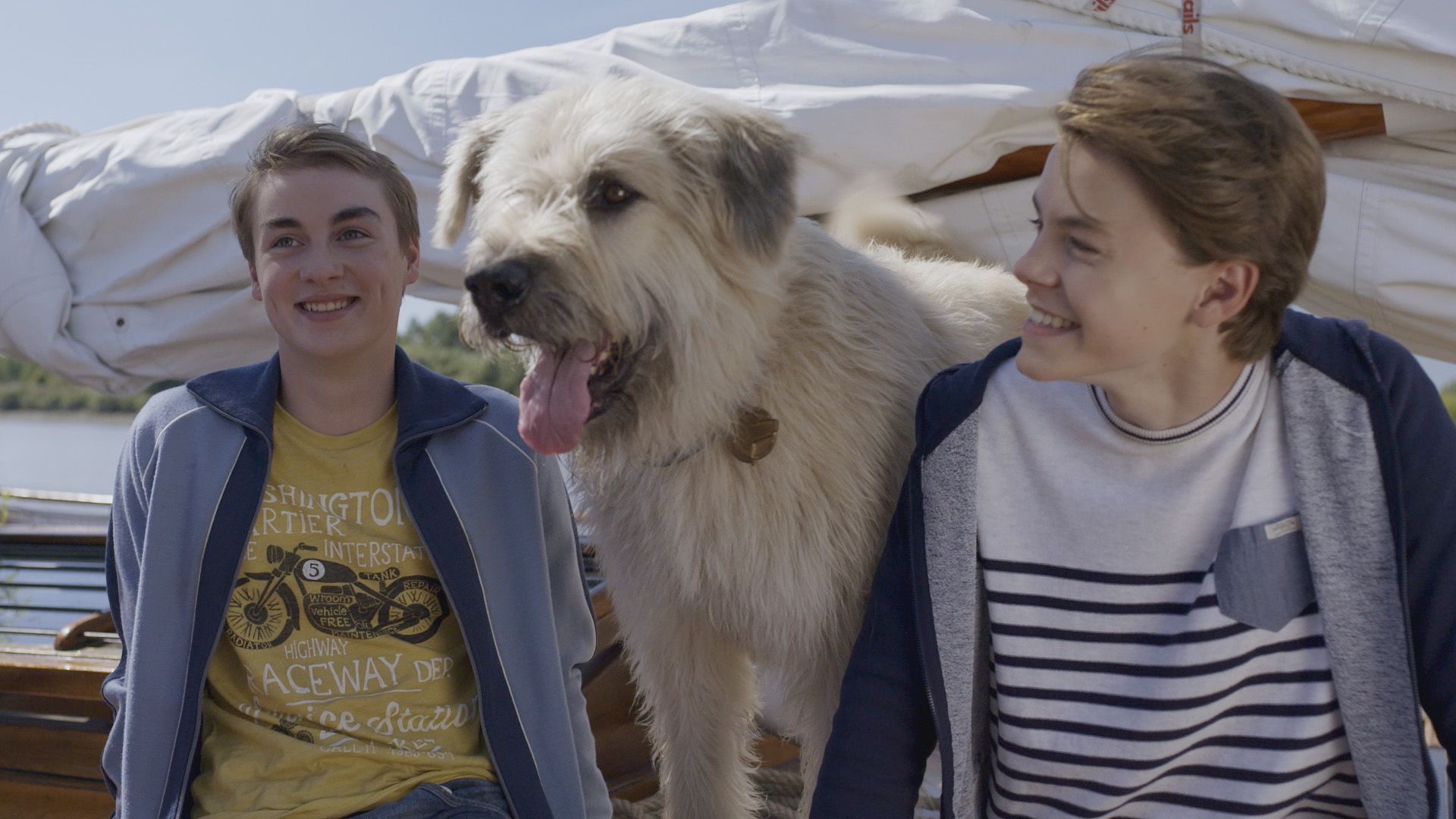 Kosmoo und die Autoknacker