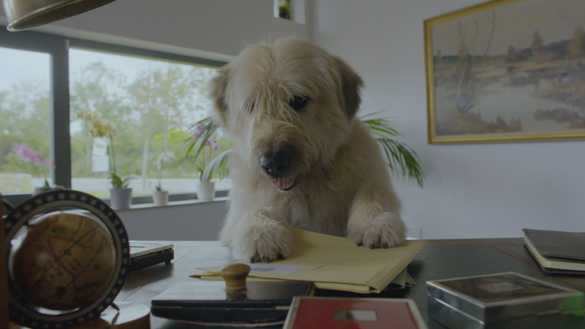 Kosmoo und der Museumsdiebstahl