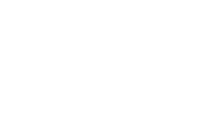 Piets irre Pleiten