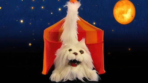 Bumba Bumba - Staffel 1 Folge 10: Episode 10