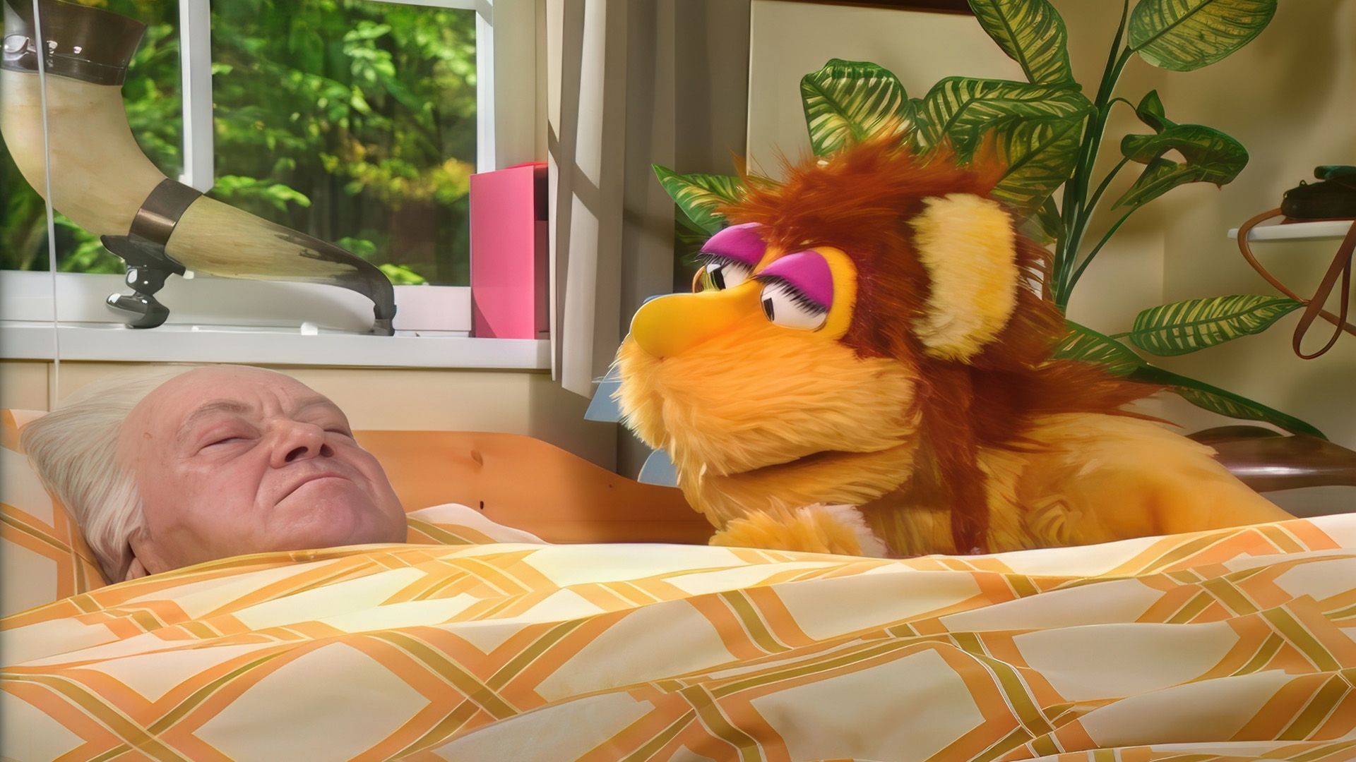 Laurenz muß ins Krankenhaus