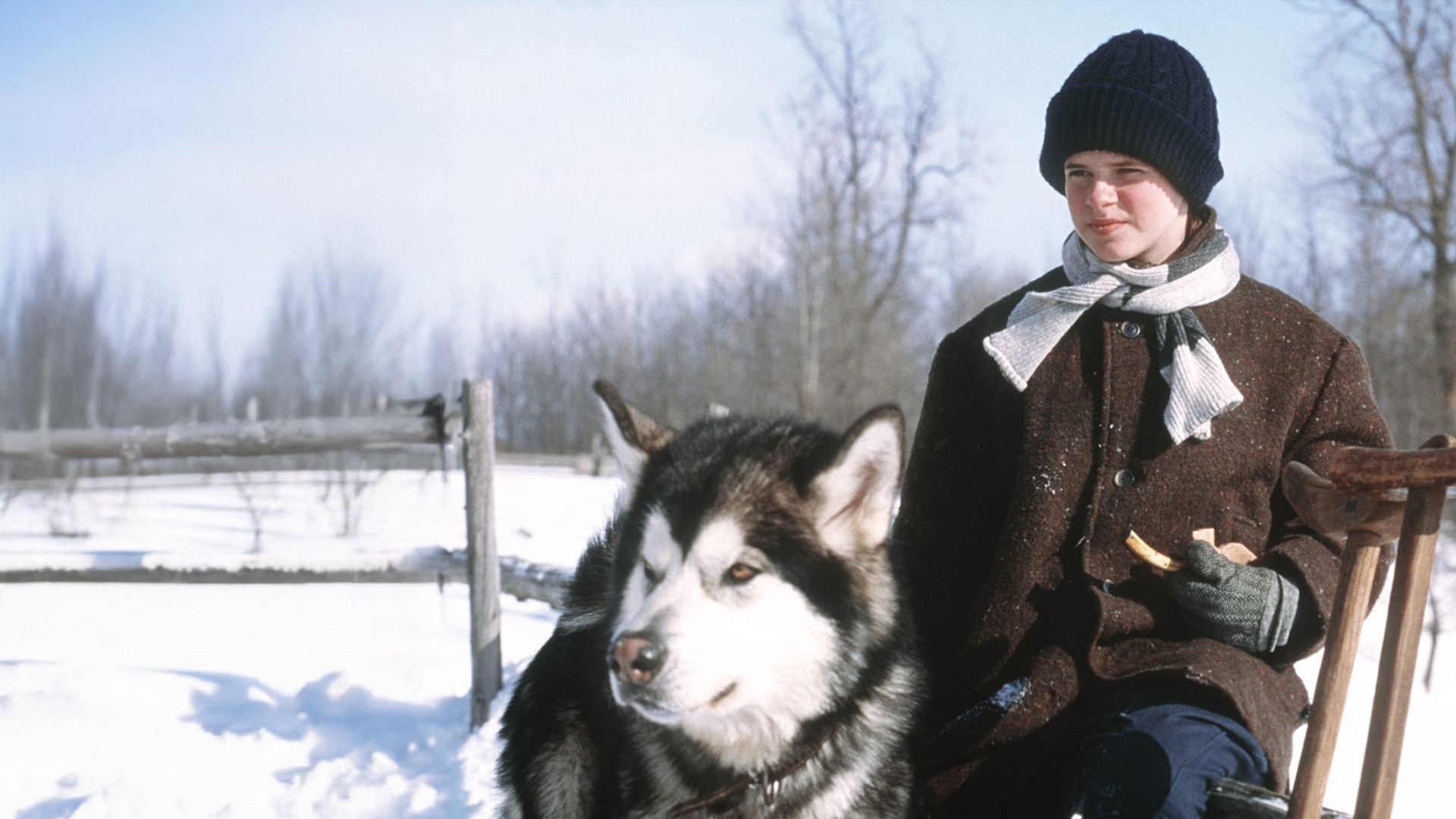 Kayla - Mein Freund aus der Wildnis