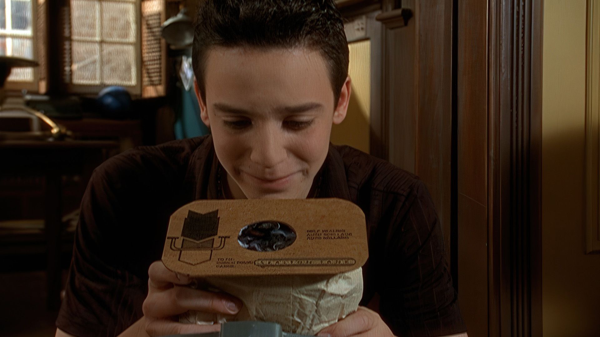 Die Rache des Staubsaugers