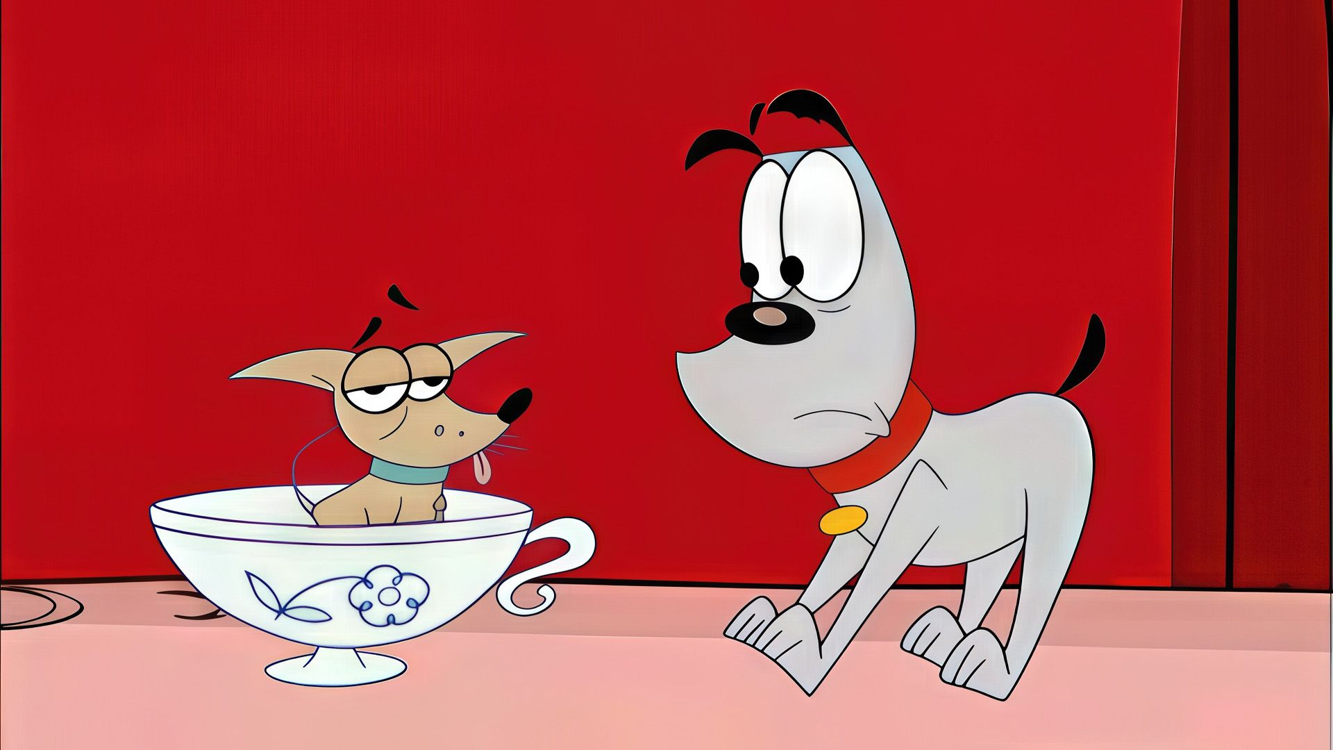 Der Hunde-Wettbewerb