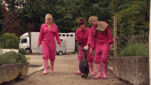 Amika Amika - Staffel 3 Folge 19: Kotelettchen