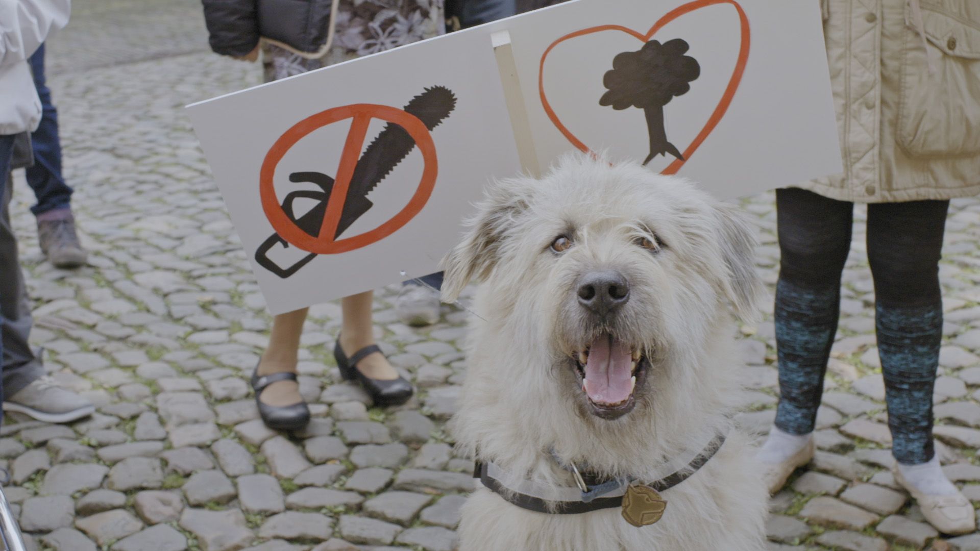 Kosmoo und die Waldretter