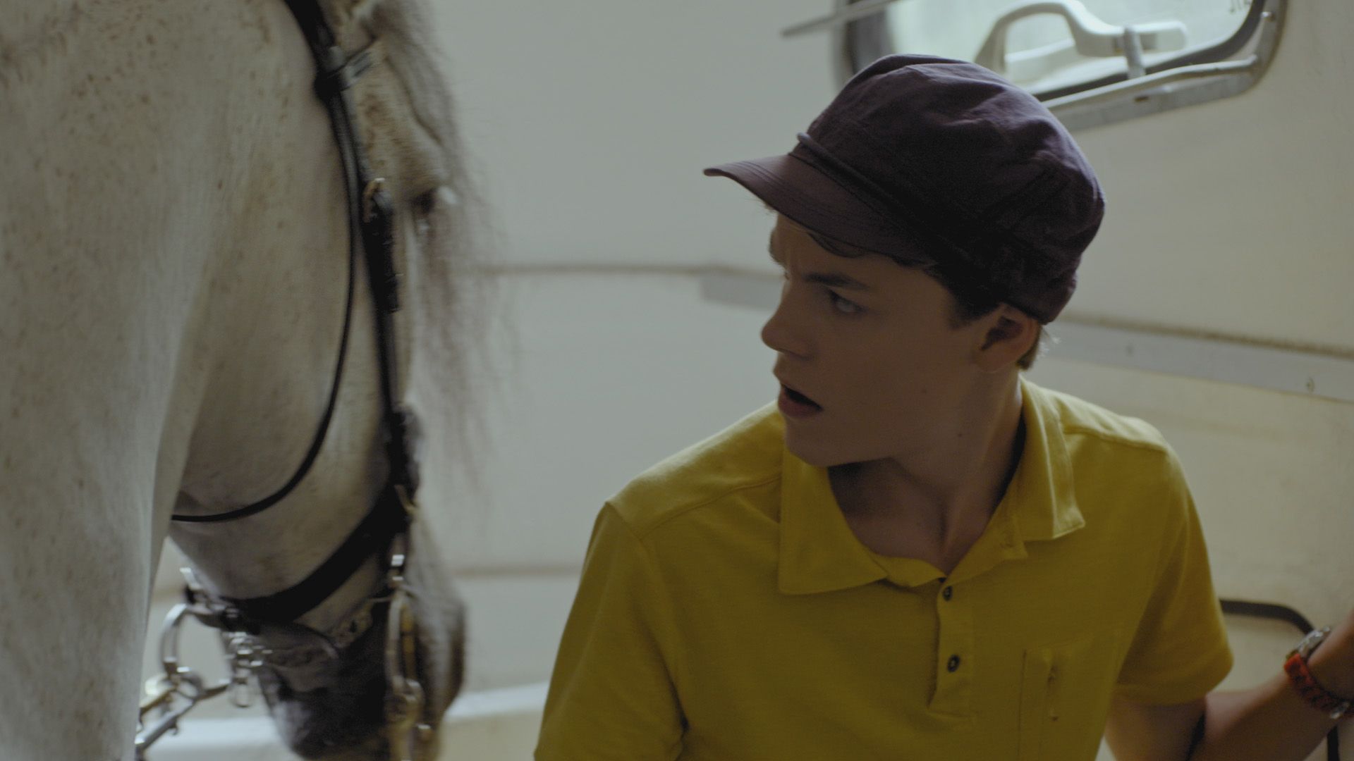 Kosmoo und das scheuende Pferd