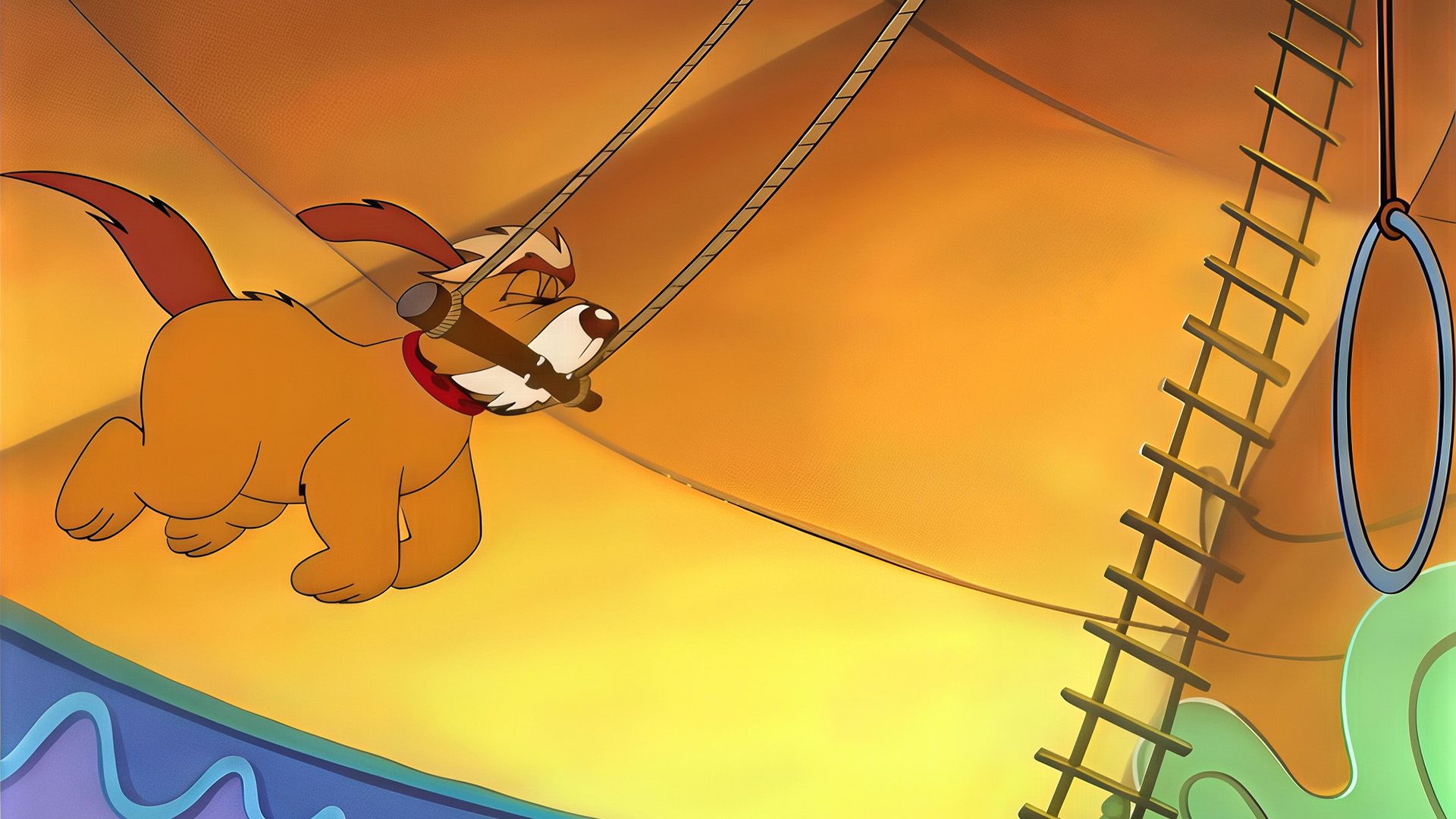 Brewsters Geburtstag