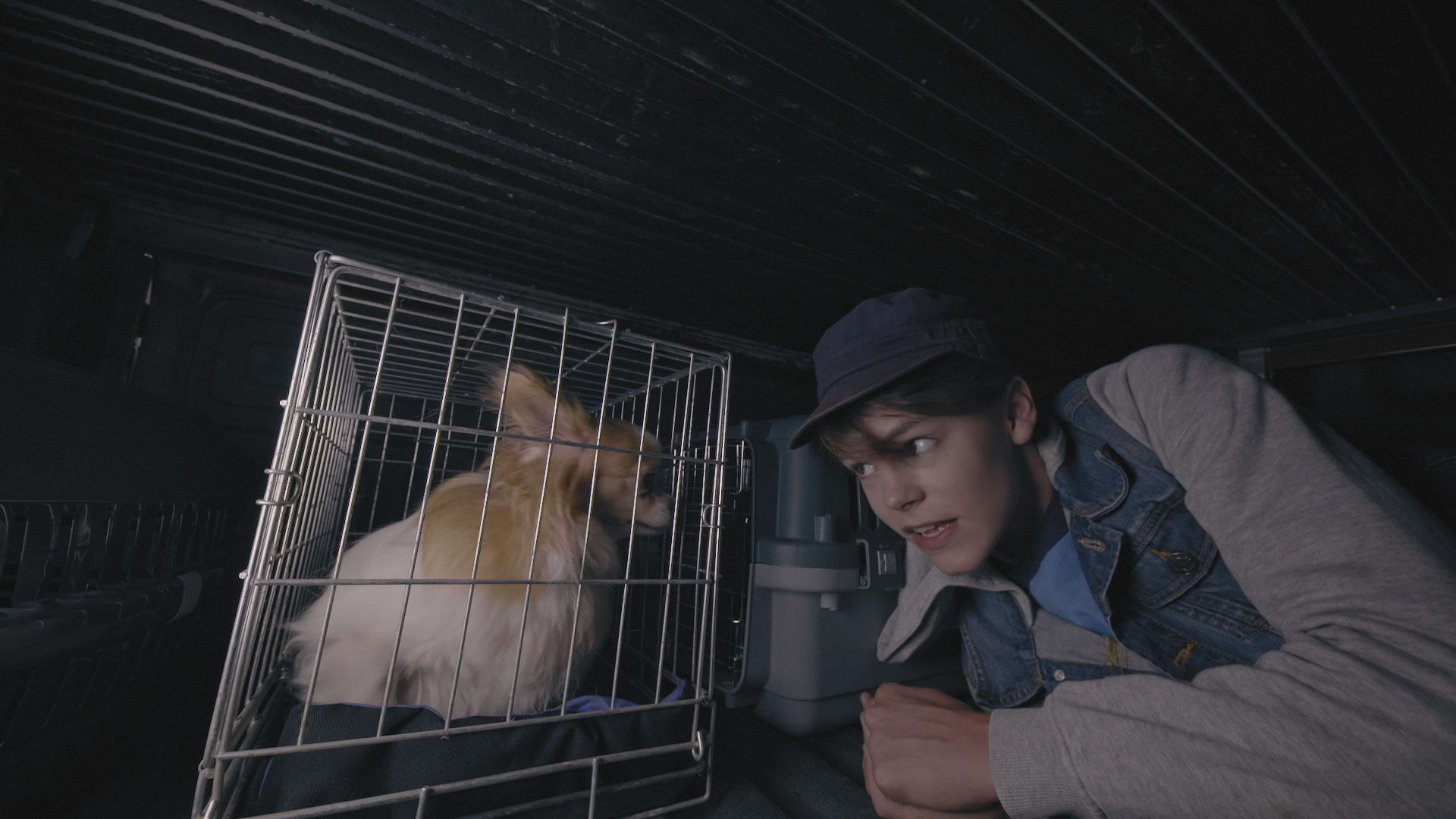 Komsoo und die Tierfänger