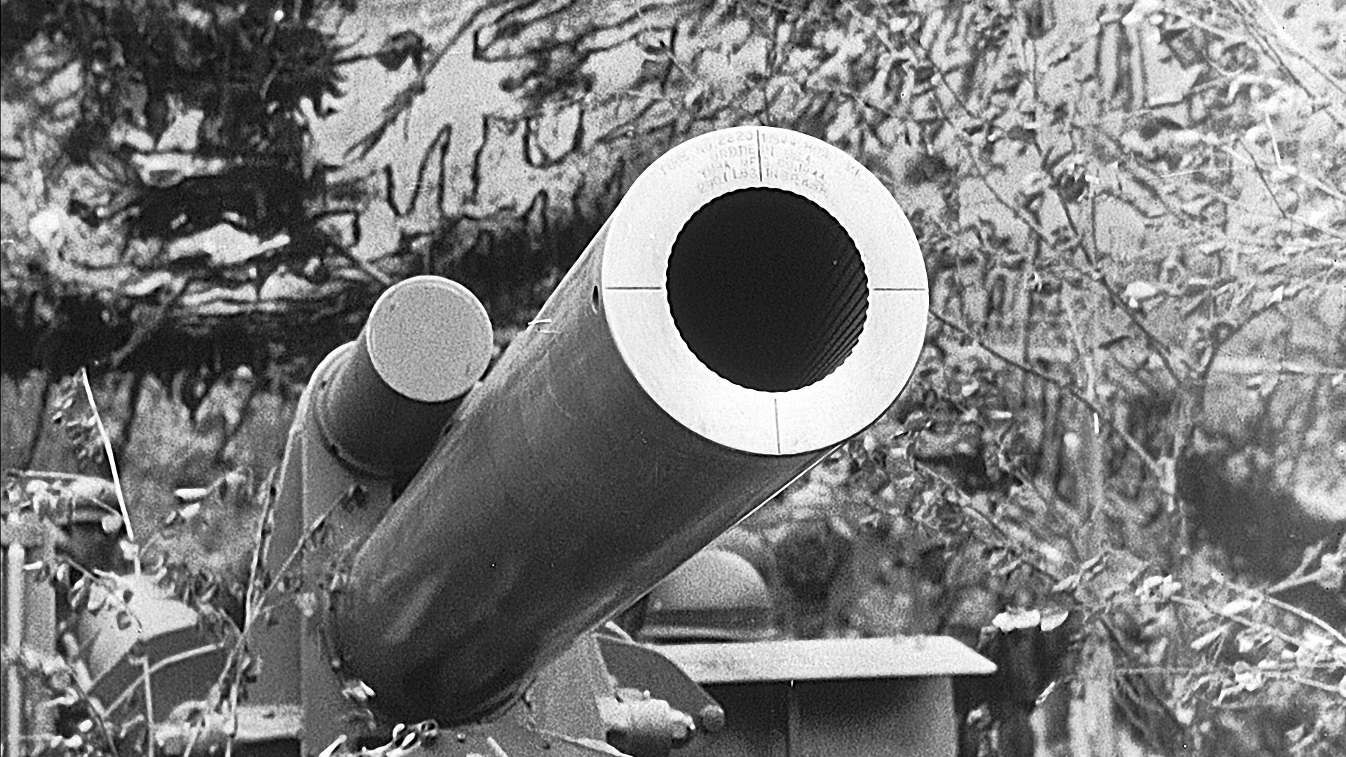 Wenn Du den Frieden willst