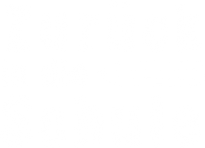 Zurück in die Schule