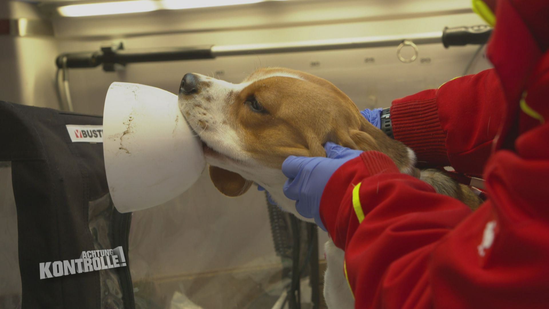Thema u. a.: Ein Hund im Lampenschirm - Tierrettung München