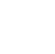 Liebe im Sinn - Das Heiratsexperiment