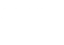 Stars and Bars - Der ganz normale amerikanische Wahnsinn