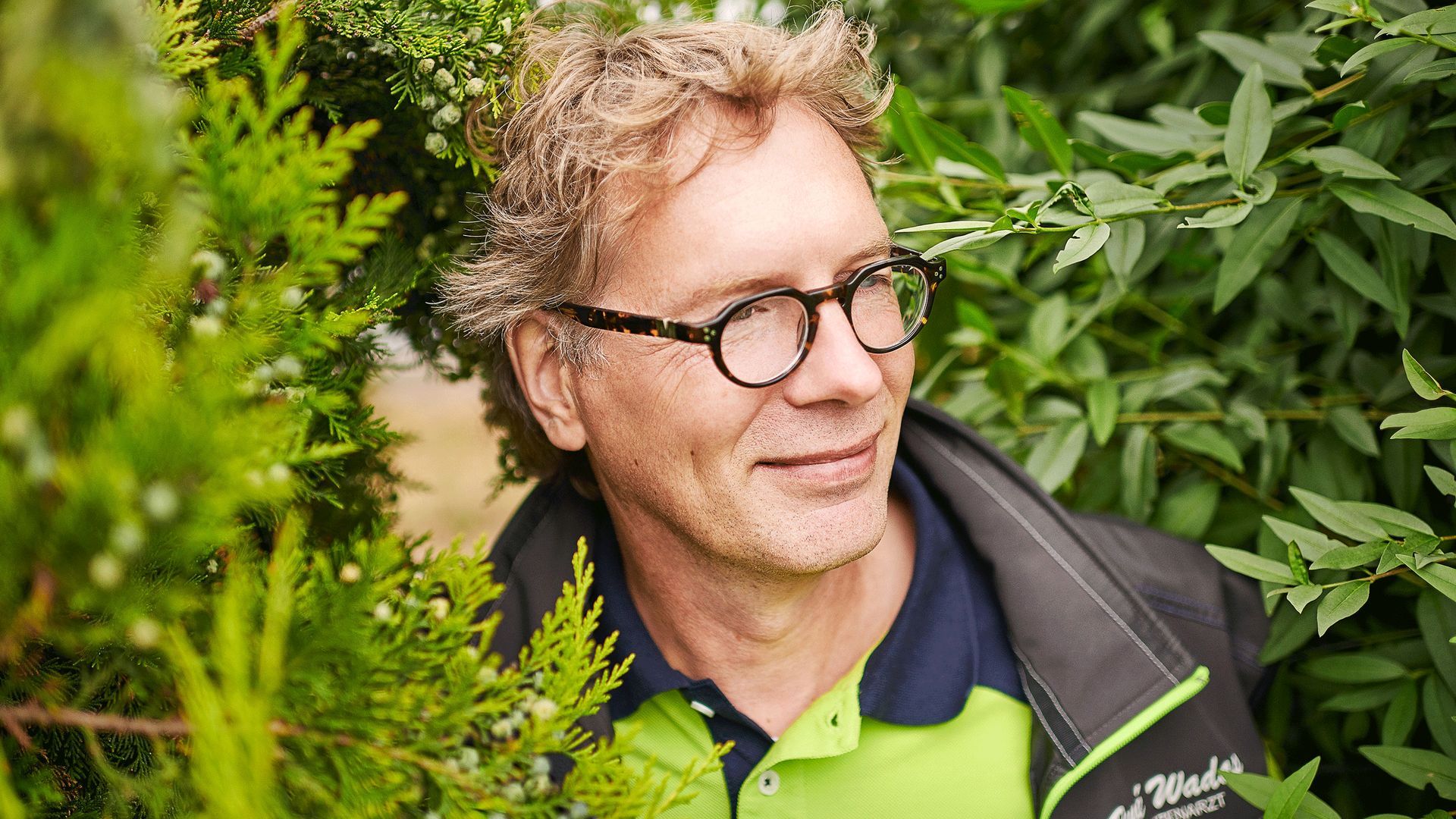 Buchsbaumzünsler geht’s an den Kragen – Pflanzenarzt René Wadas in Niedersachsen