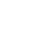 My Idiot Friend