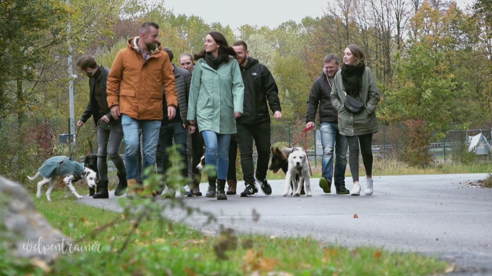 Verkehrssicherheitstraining für die Welpenklasse