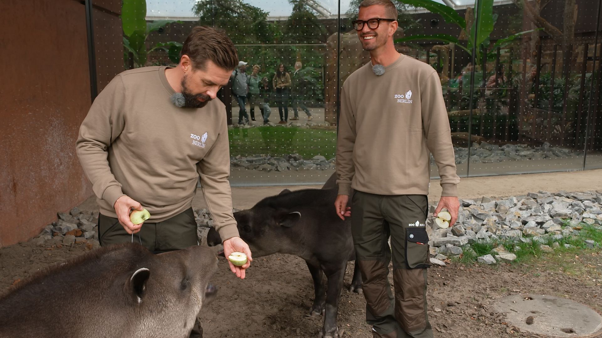 Tapire, Capybaras und Nashörner