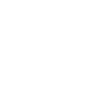 World Skate Tour