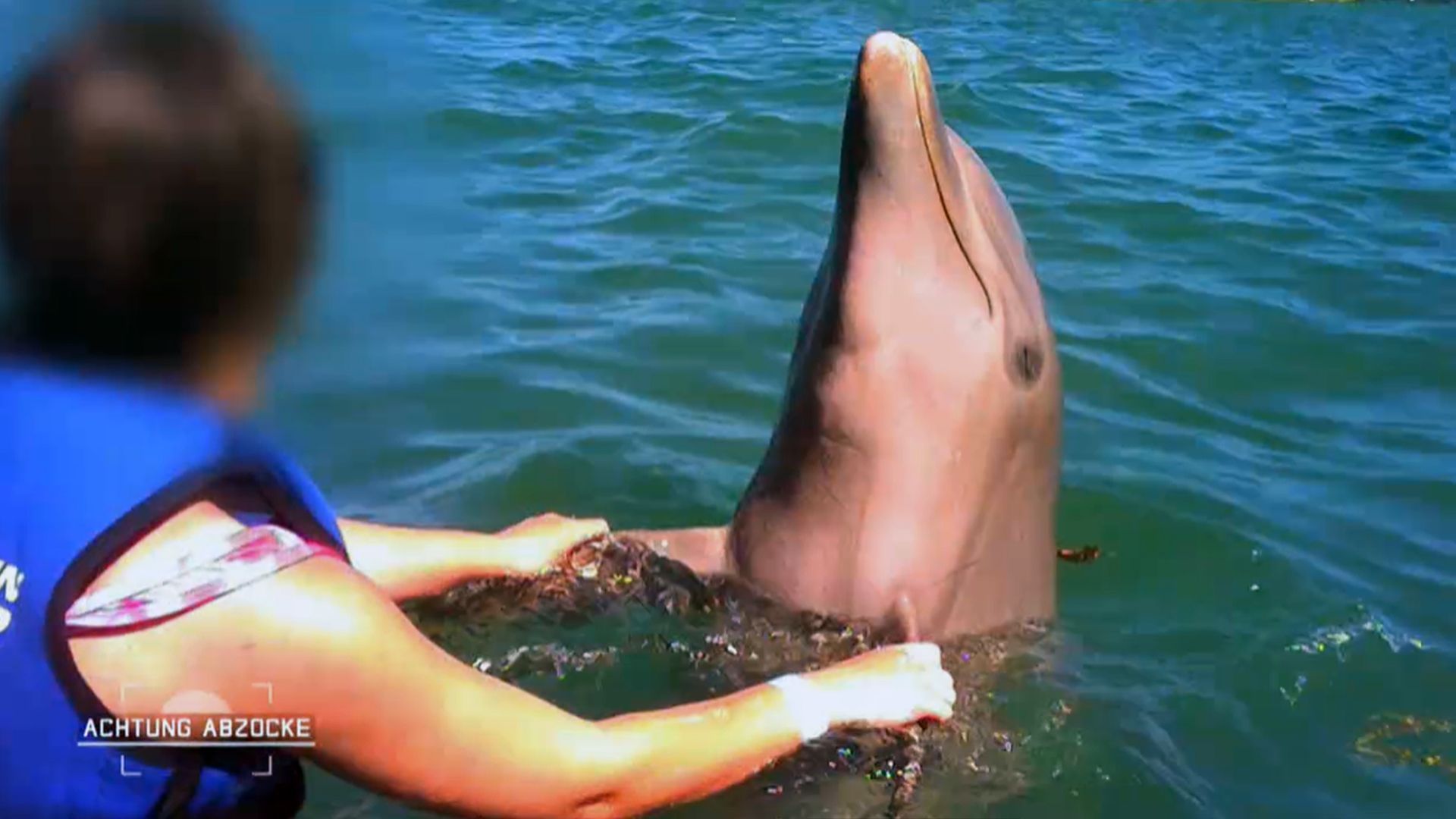 Strand, Sonne und eingesperrte Delfine! Abzocke im Karibik Style