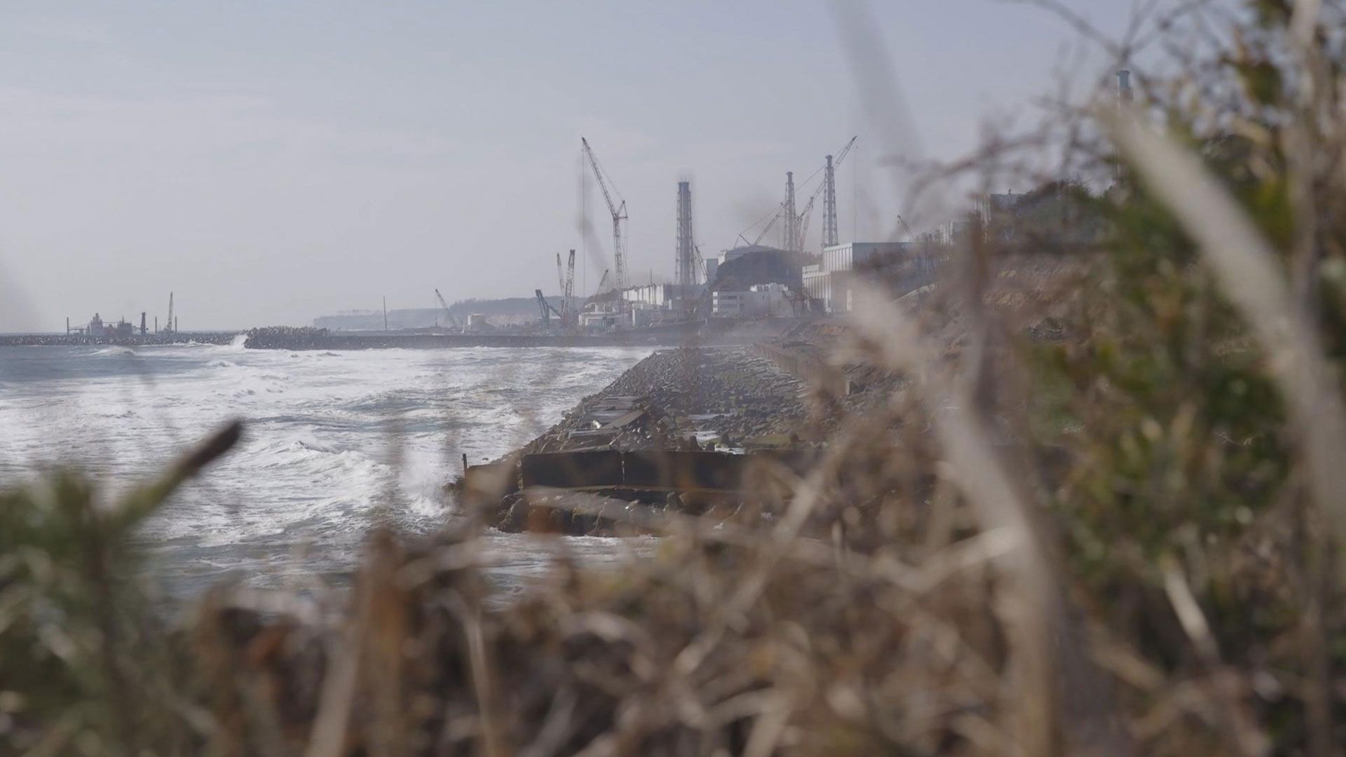 Außer Kontrolle: Die Nuklearkatastrophe von Fukushima