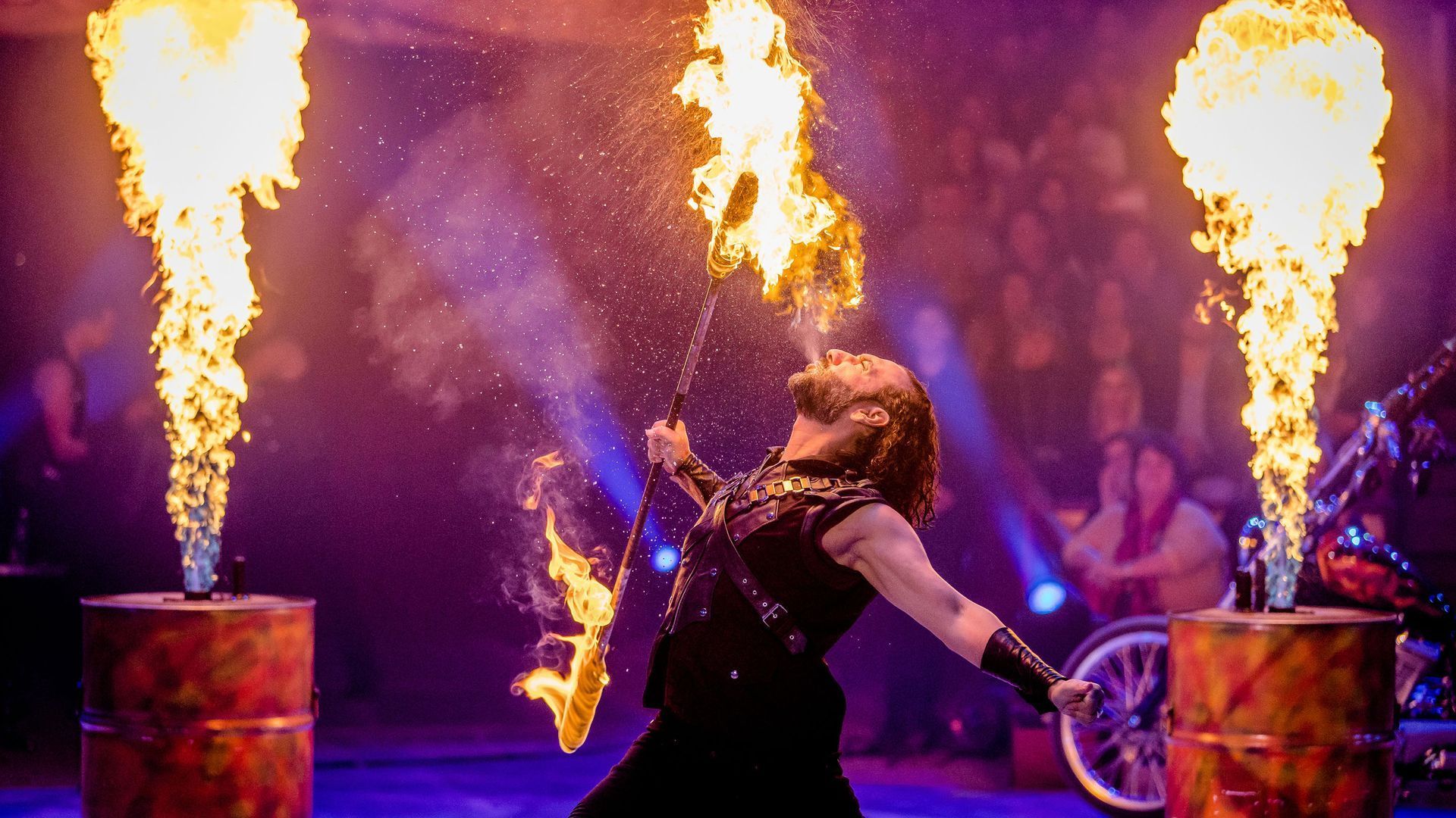 Willkommen im Promi-Zirkus!