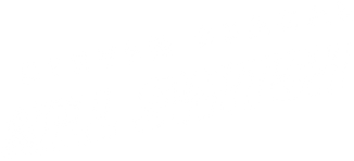 Steven Seagal - Kill Switch