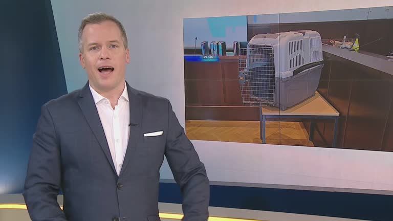 PULS 24 Aktuell am Morgen vom 01.03.2024