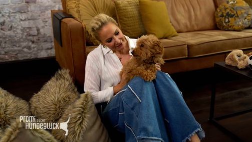Promi sucht Hundeglück Promi sucht Hundeglück Folge 3: Traumatisierter Maltipoo - Janine Kunzes Hund Krümel hat Angst vor großen Hunden