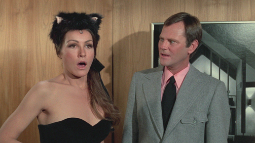 Verliebt in eine Hexe Verliebt in eine Hexe Folge 12: Hallo, Pussycat