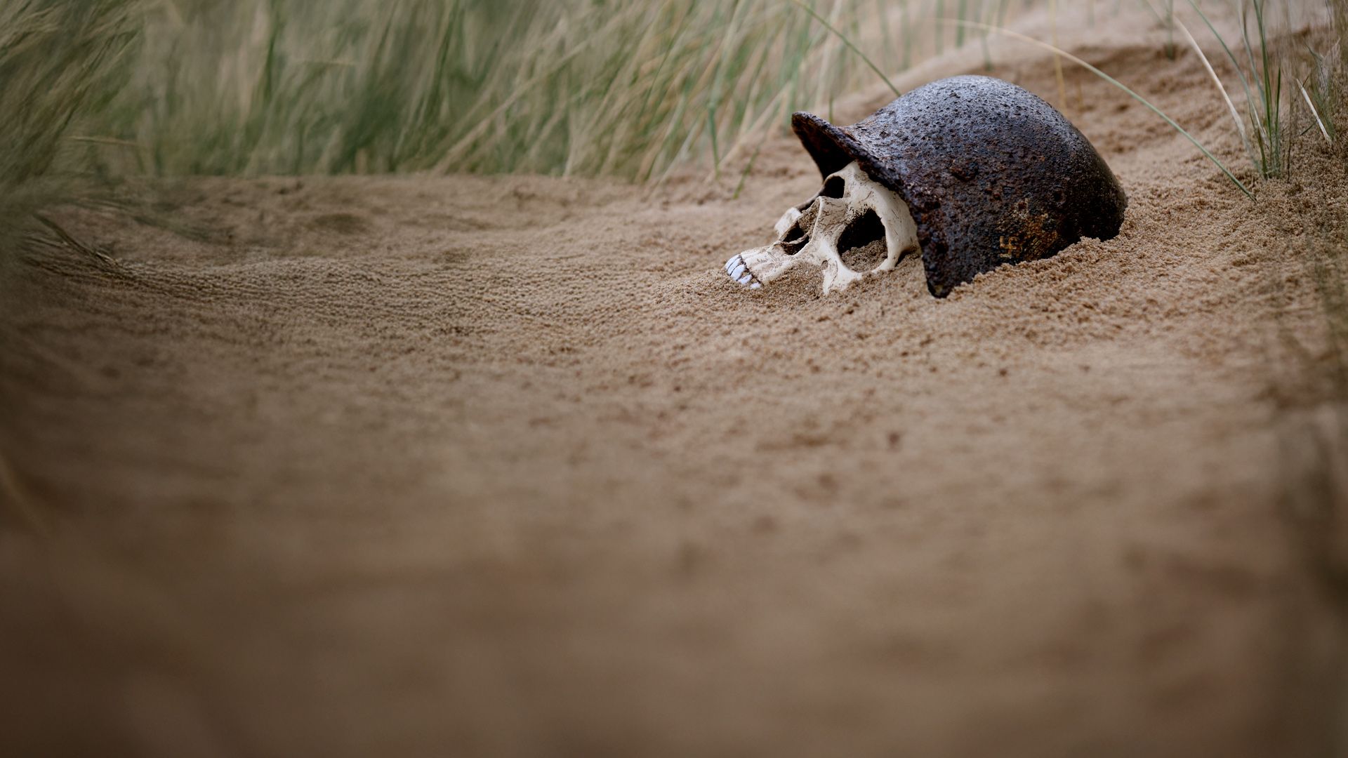 Schätze, Rätsel und Ruinen - Naturgewalten decken auf