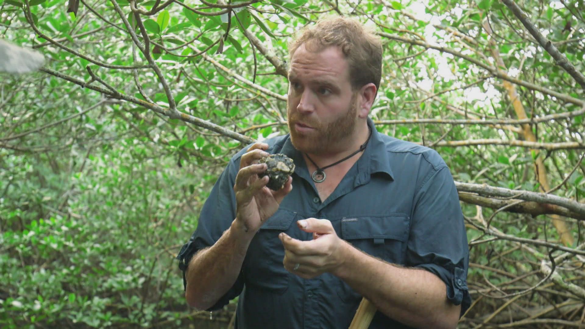 Goldrausch im Atlantik