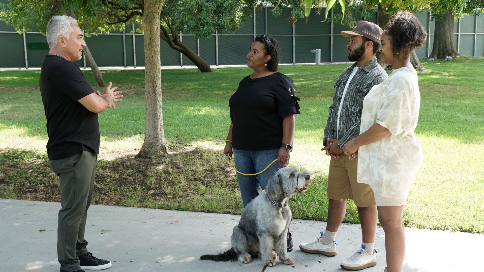 Labradoodle mit Biss
