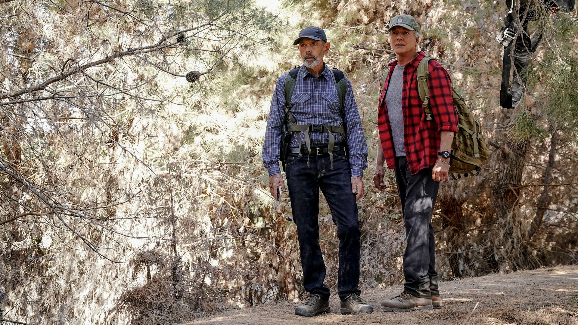 Drei Männer im Wald