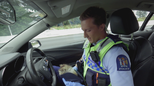 Police Force - Einsatz in Neuseeland POLICE FORCE - EINSATZ IN NEUSEELAND - STAFFEL 20 Folge 8: Tote Winkel