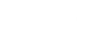 Im Netz der Spinne