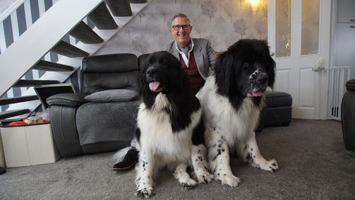 Hunde außer Kontrolle - Ein Coach für alle Felle Hunde außer Kontrolle - Ein Coach für alle Felle Folge 1: Ein Profischwimmer