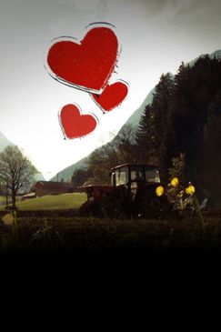 Bauer sucht Frau - Die zweite Chance