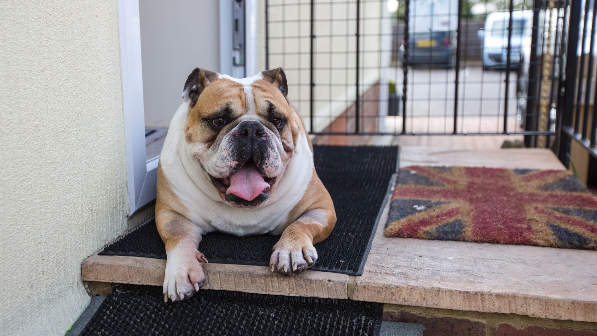 Luna, Peppa und Tatiana