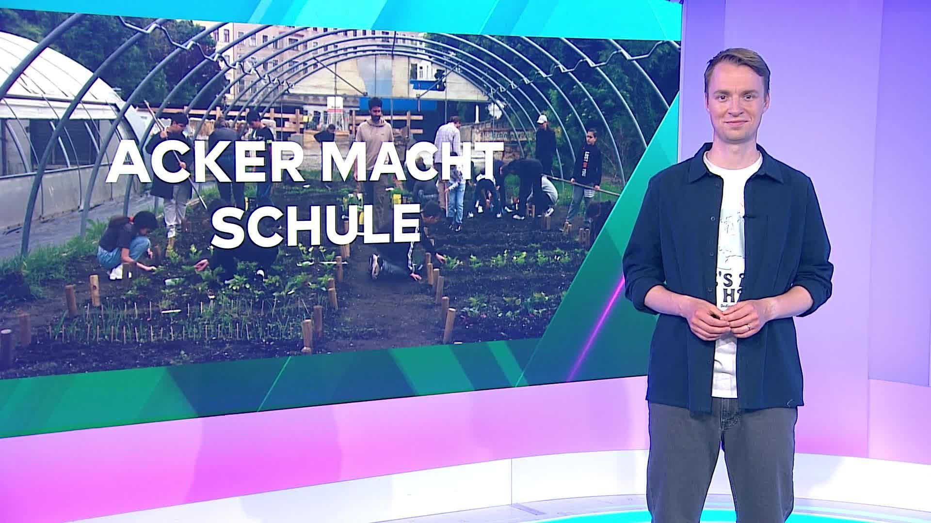 Wenn Gemüseanbau Teil des Unterrichts wird