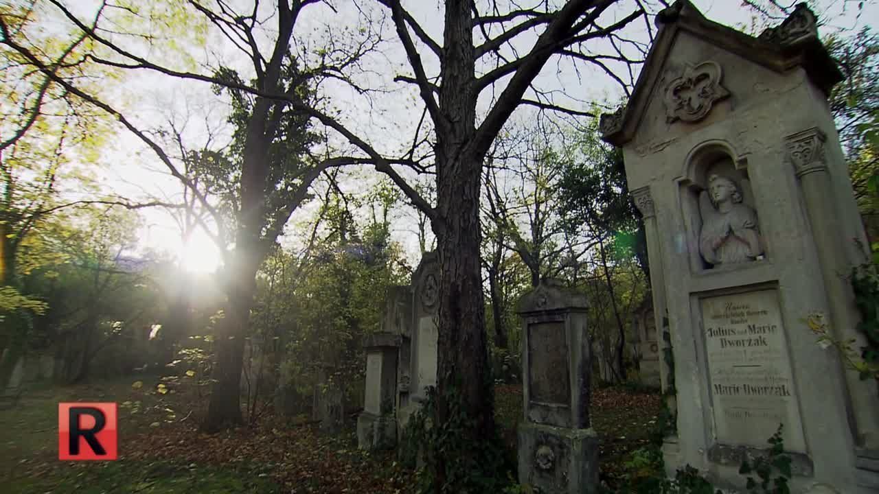 ATV Die Reportage - Mikrokosmos Friedhof