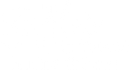 The Single's Guidebook - Handbuch für Singles