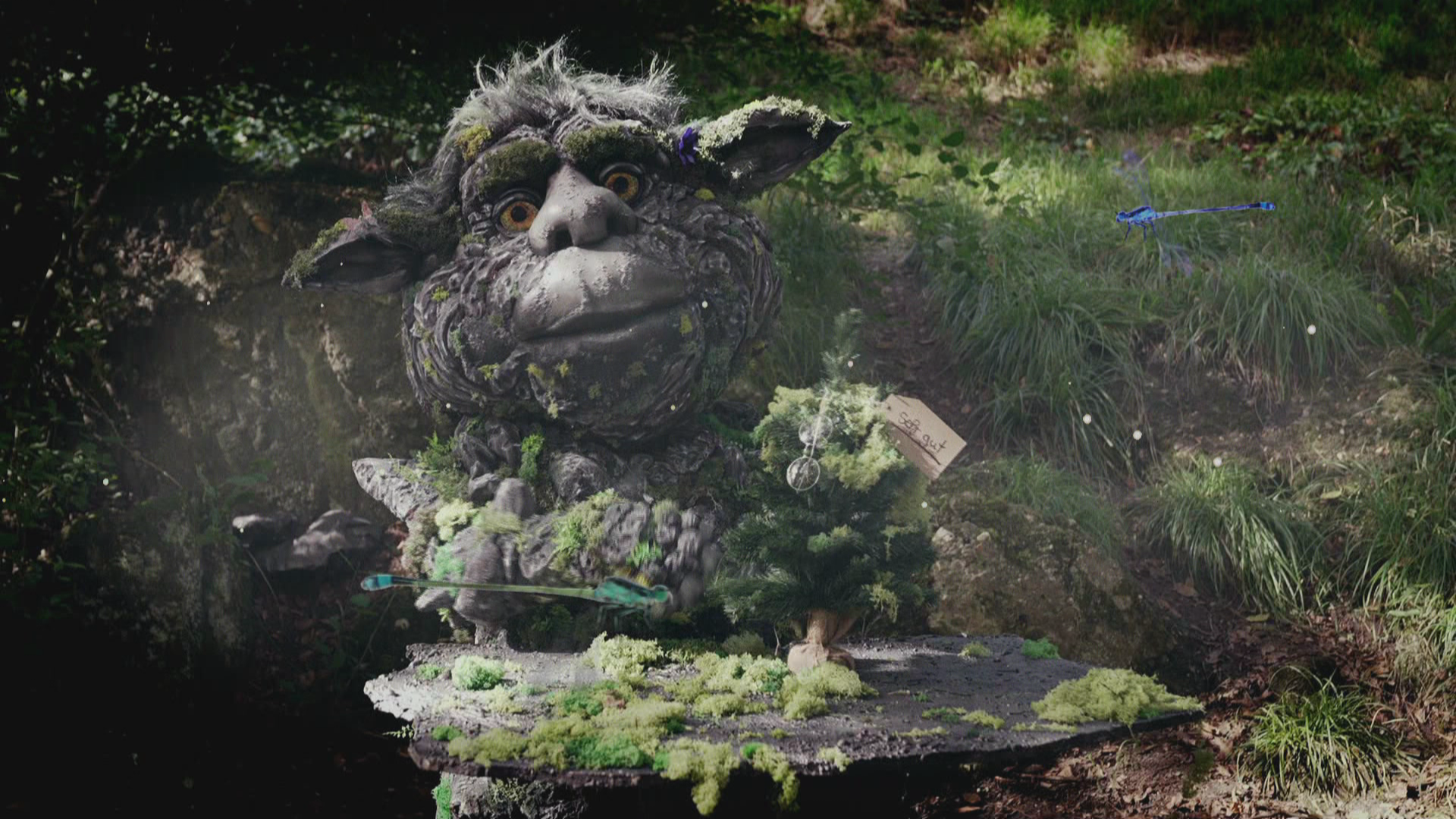 Video Hintergrund
