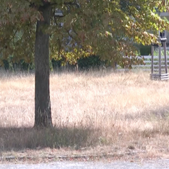 Forschende rufen weltweiten "Wasserbankrott" aus