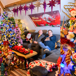 600 Weihnachtsbäume in einem Haus