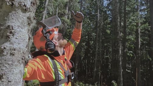 Timber Titans - Kanadas härteste Holzfäller Timber Titans - Kanadas härteste Holzfäller Folge 8: Der letzte Baum