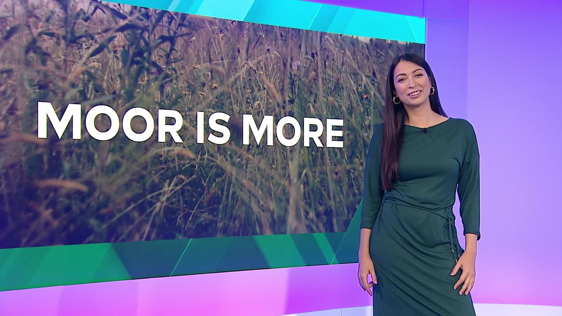 Der größte CO2 Speicher der Welt