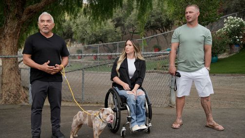 Cesar Millan: Better Human Better Dog - Bessere Menschen, bessere Hunde Cesar Millan: Better Human Better Dog - Bessere Menschen, bessere Hunde Folge 7: An der kurzen Leine